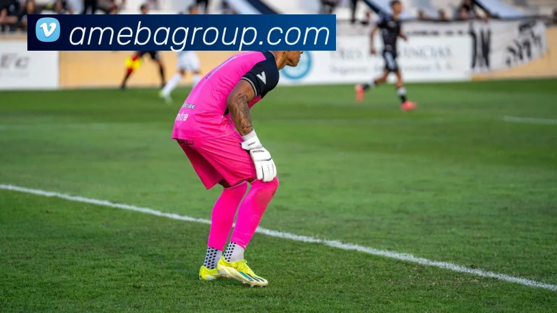 奖项证书